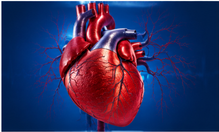 Heart Surgery